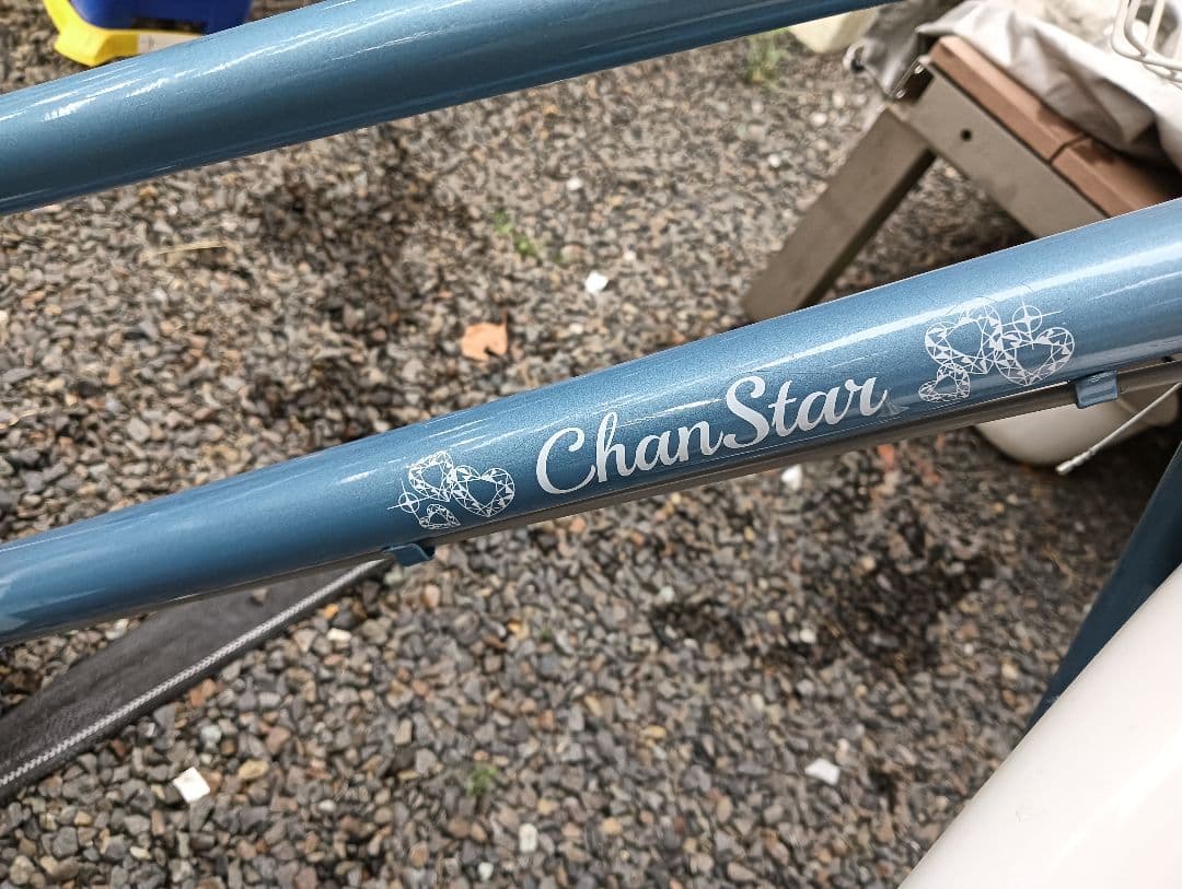 手渡し 子供用自転車 チャンスター24インチ