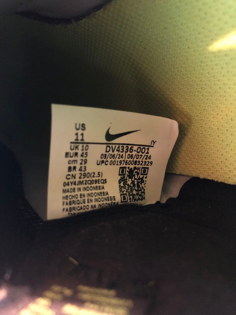 ナイキ TIEMPO LEGEND 10 PRO TF トレシュー 29cm