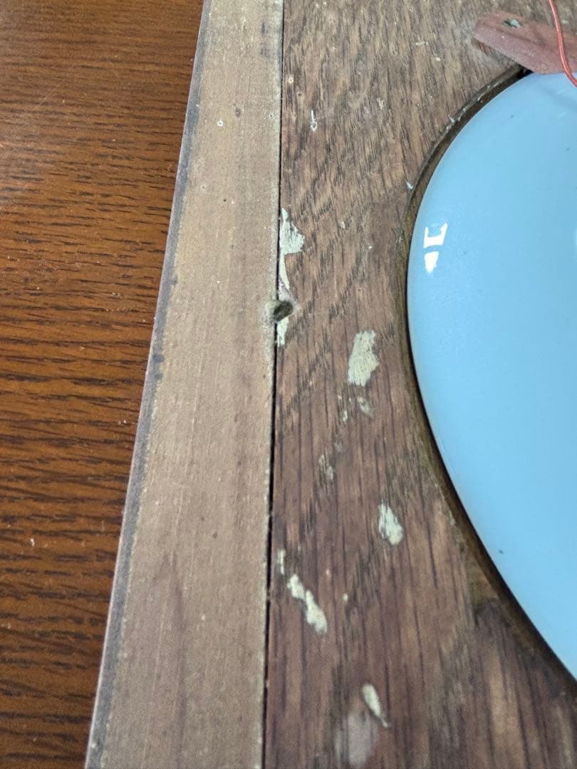 オールドノリタケ　日本陶器会社　額皿