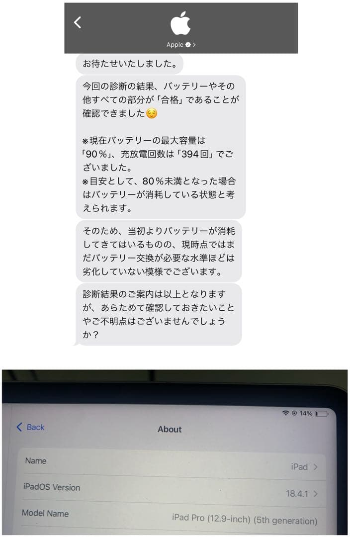 iPad Pro 12.9 第5世代 M1 + Apple Pencil 2nd