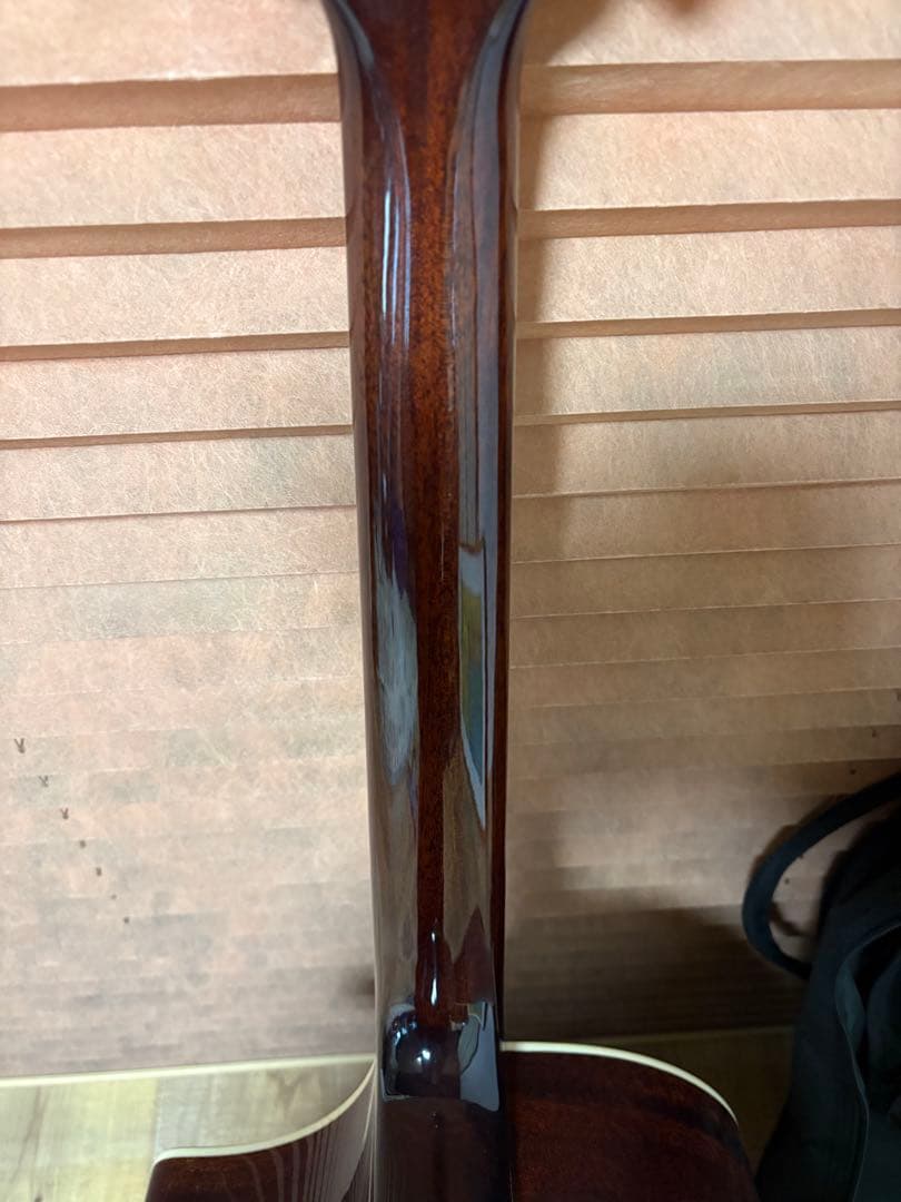 エレアコ　アコースティックギター　James J-400ACCBU