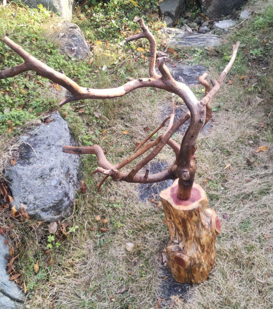 バードアスレチック　鳥用止まり木