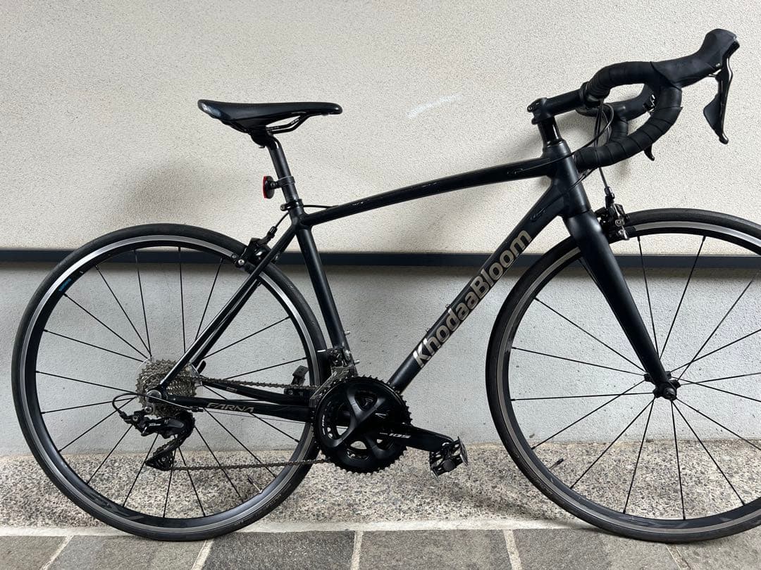 あおい　コーダブルームFARNA 105 2022 465mmお引渡し