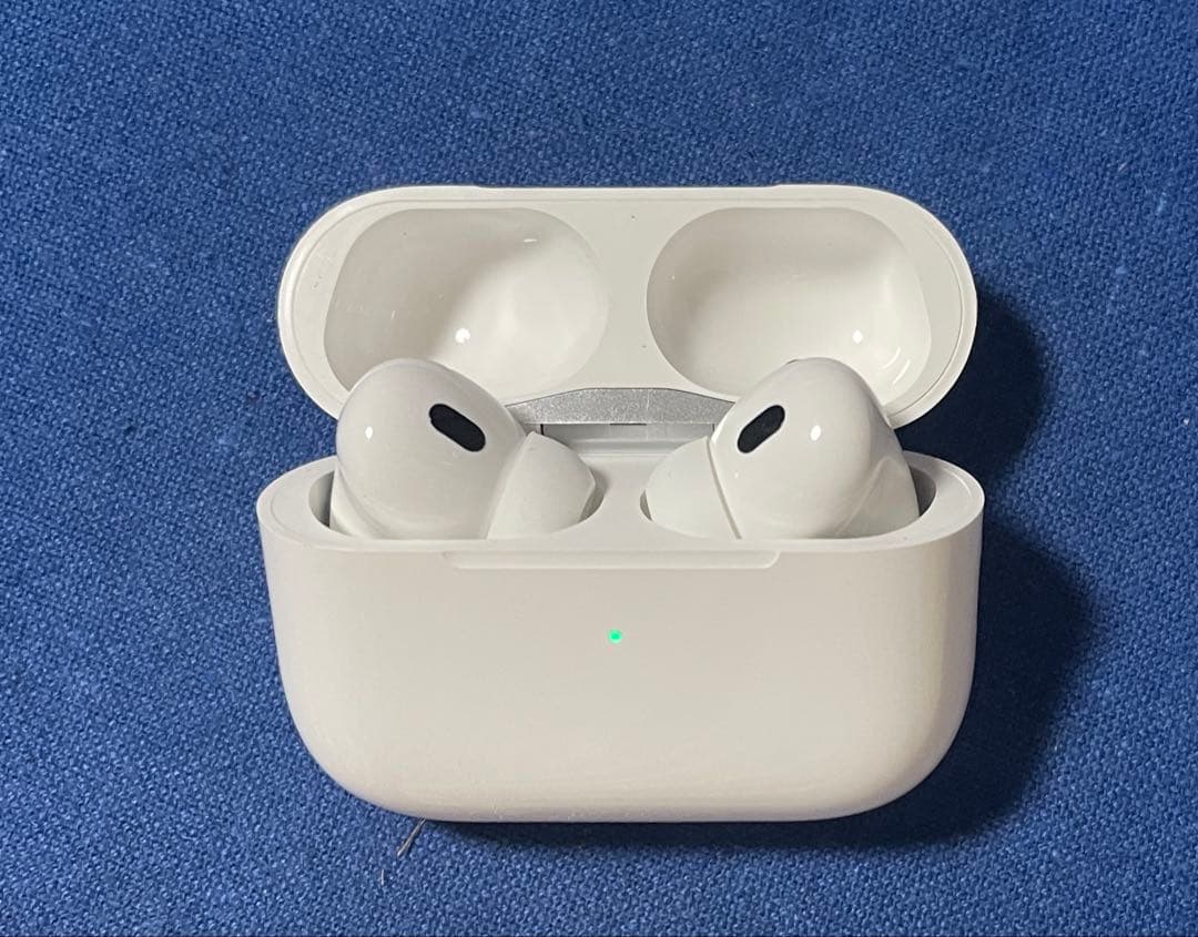 イヤホン Apple EarPods