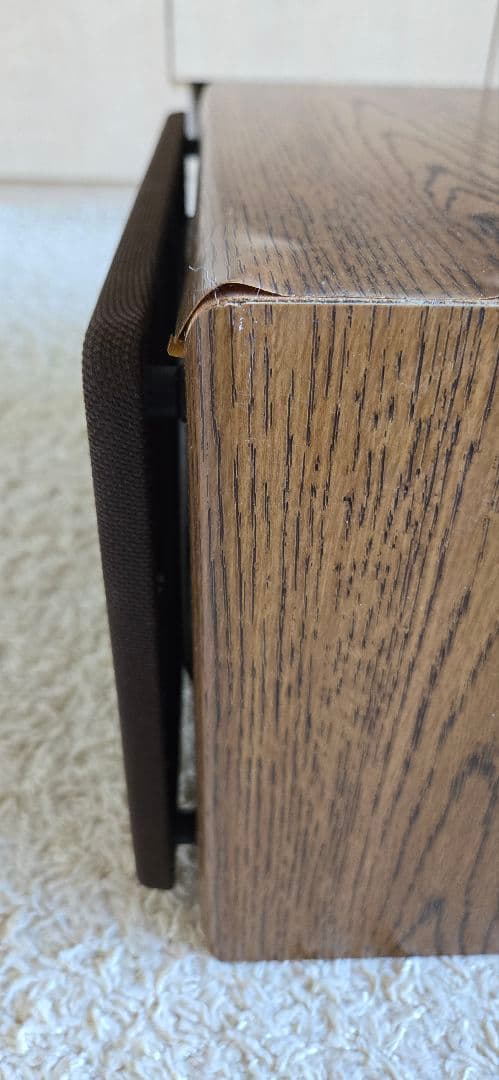 DIATONE ダイヤトーン DS-500