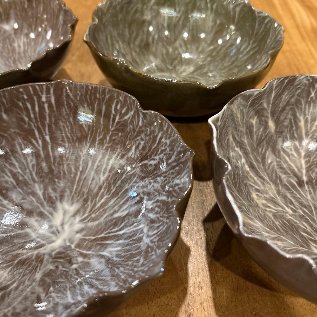 長崎　現川焼 十二代 横石臥牛宗雲作 刷毛目 花形鉢　五個　希少　二