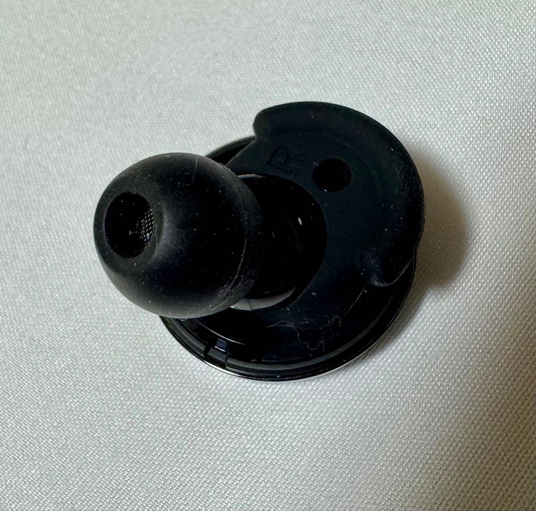 【希少品】NuraTrue Pro ワイヤレスイヤホン【国内正規品】