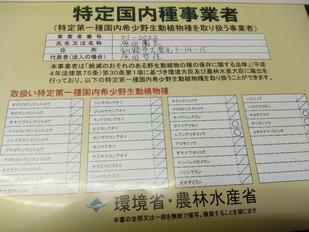 平*京様 山野草・アツモリソウ・礼文アツモリソウ