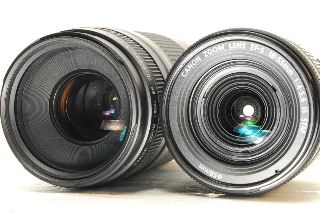 Canon EOS Kiss X10 ❤️超望遠300mm ダブルレンズ キヤノン