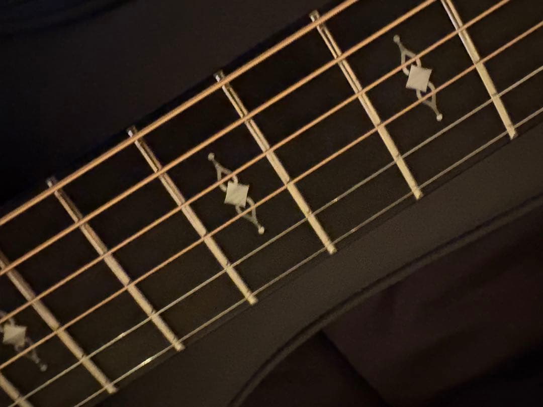 meromu　光栄堂　taylor 314ce Vクラス　日本限定仕様