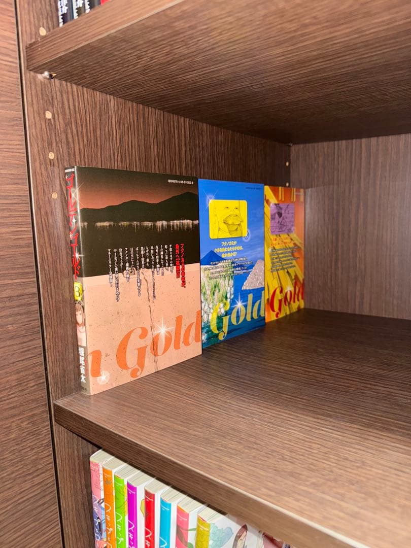 【値下げ応相談】ディノス　扉付き本棚（高さ230×幅100×奥行45）