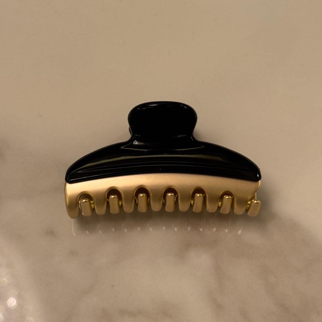 新品　アレクサドルドゥパリ　クリップ