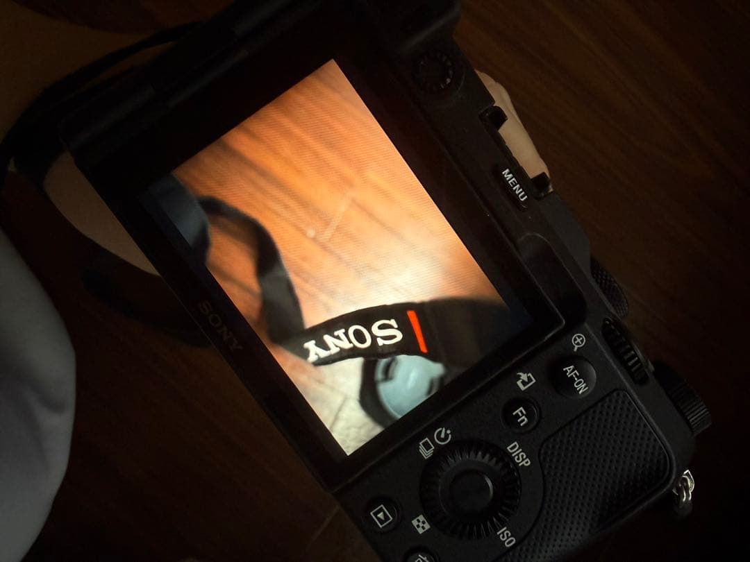 SONY ミラーレス一眼カメラ 本体とケース付き