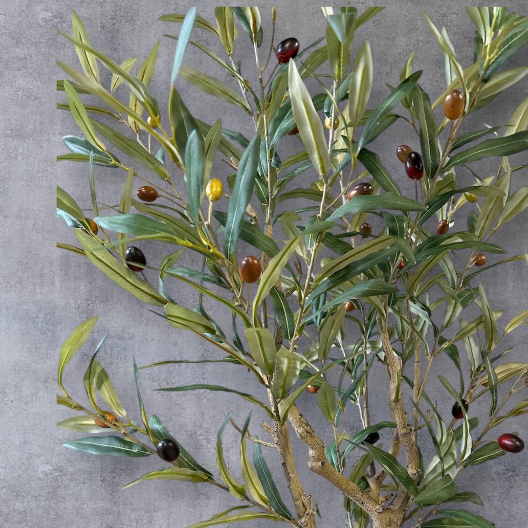 【超リアルなオリーブの木】実つきフェイクグリーンで叶える憧れのオリーブライフ