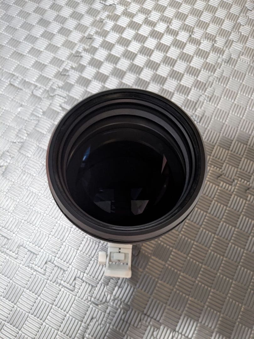 SONY FE 200-600mm F5.6-6.3 G OSS 美品