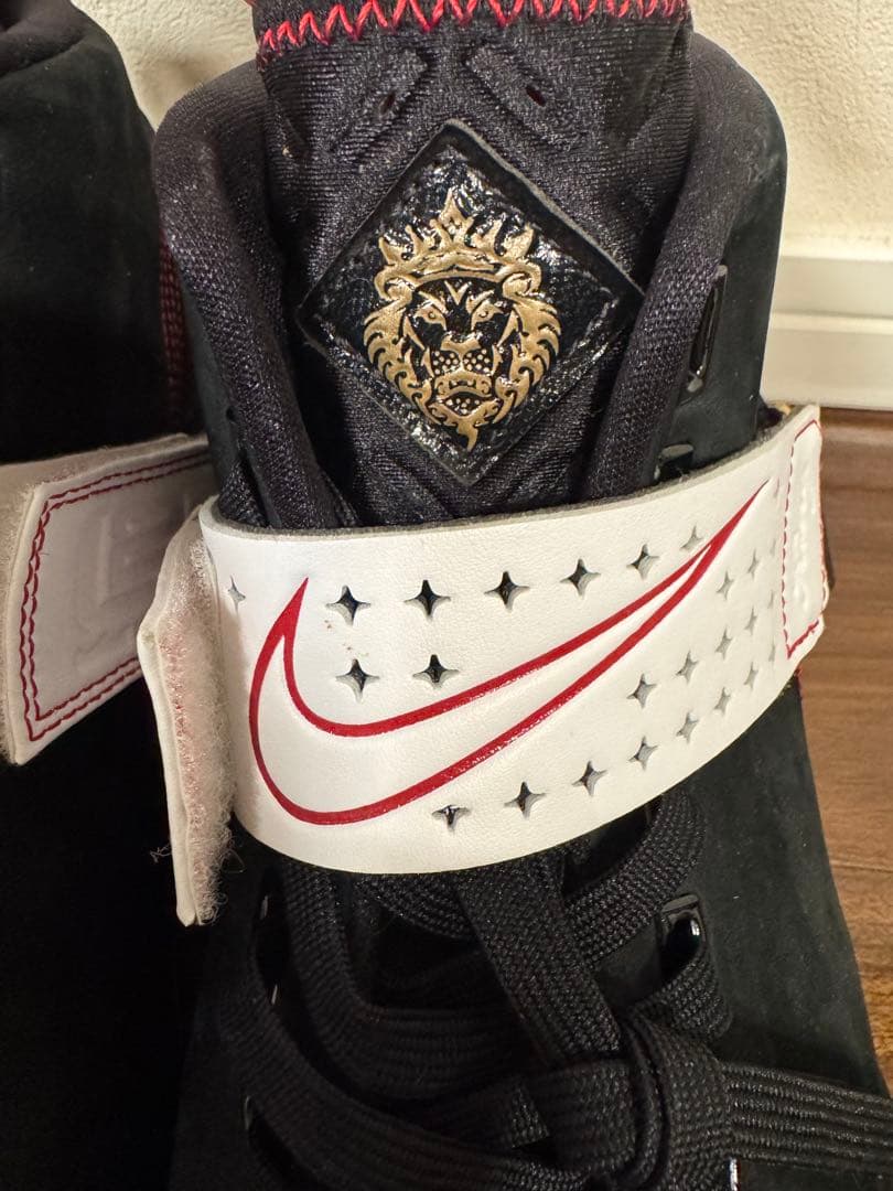 【お値下げ】美品！Nike Zoom LeBron 5