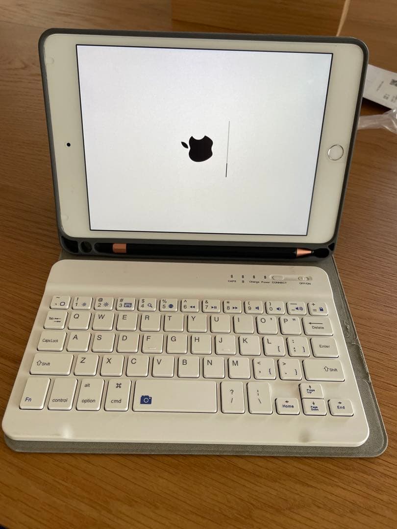 iPad mini4 Wi-Fi+Cellular 16GB SIMフリー