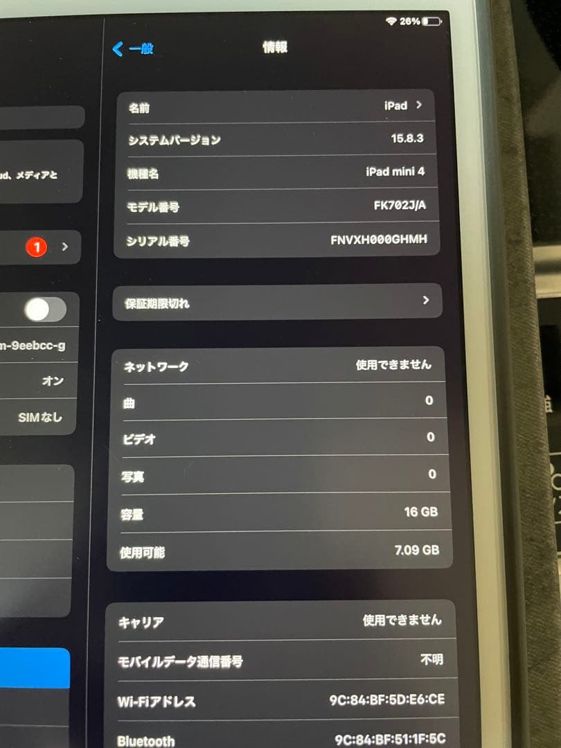 iPad mini4 Wi-Fi+Cellular 16GB SIMフリー