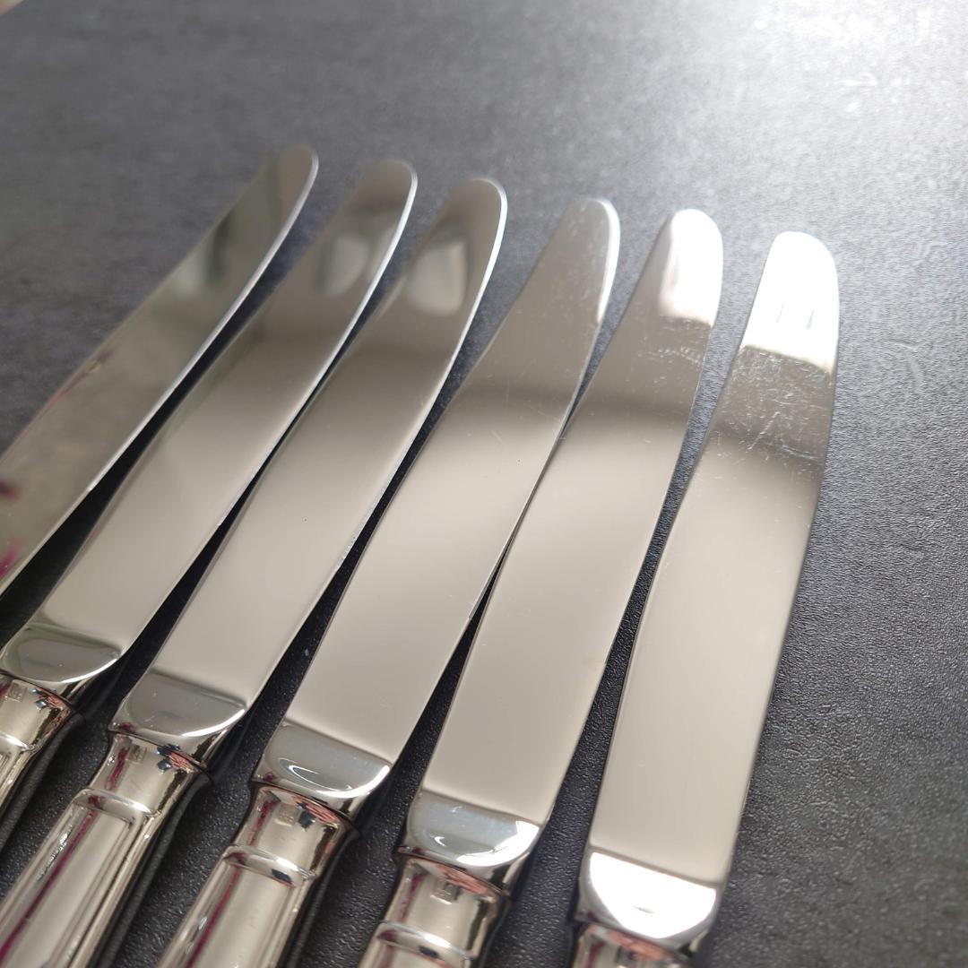 クリストフル アルビ テーブルナイフ 6点