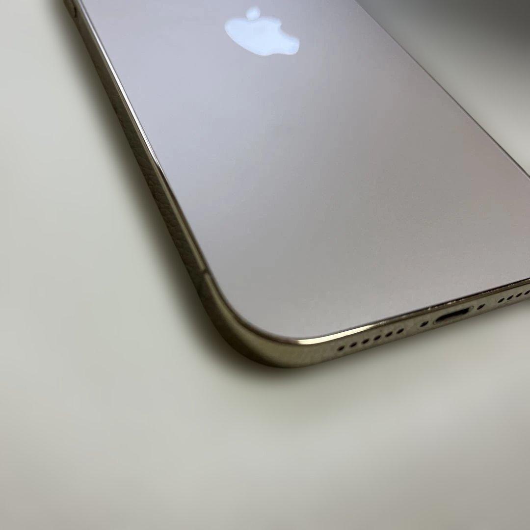 Apple iPhone 12 本体