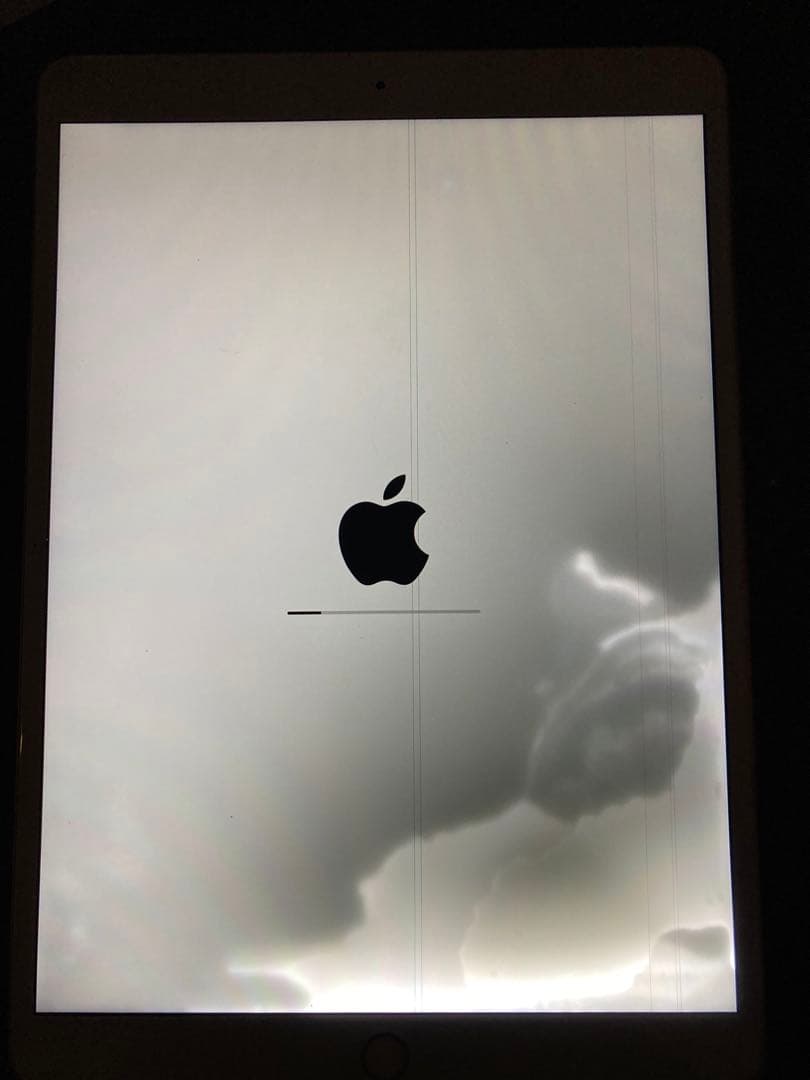 iPad Air3 Wi-Fiモデル 256GB ジャンク品　液晶のみ不良