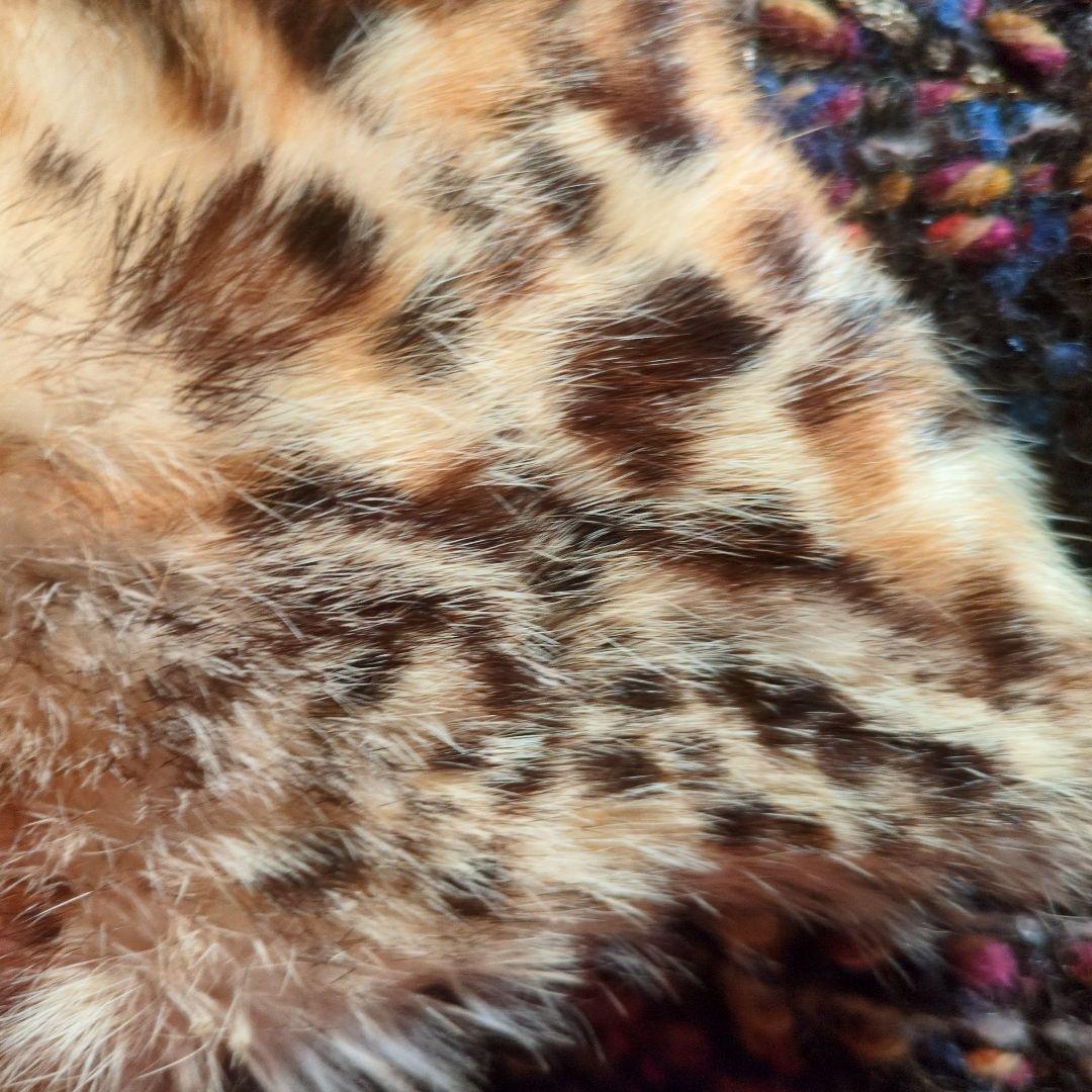 ドルガバジャケットロングヘアラビットファー襟