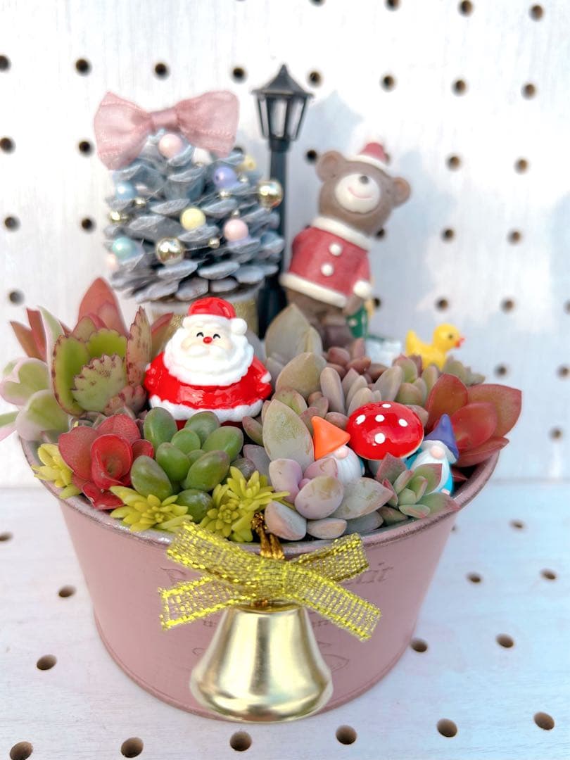 メルカリ便♫多肉植物寄せ植え♫そのまま飾れる♫くまさんサンタのプレゼント