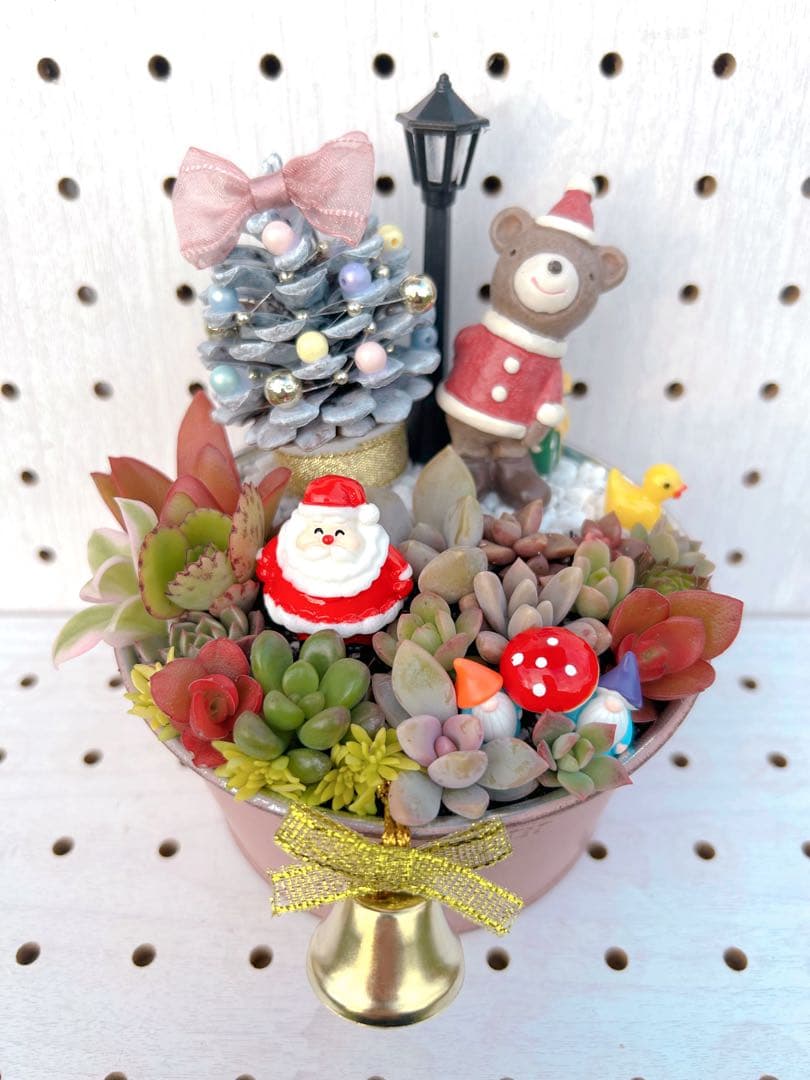 メルカリ便♫多肉植物寄せ植え♫そのまま飾れる♫くまさんサンタのプレゼント