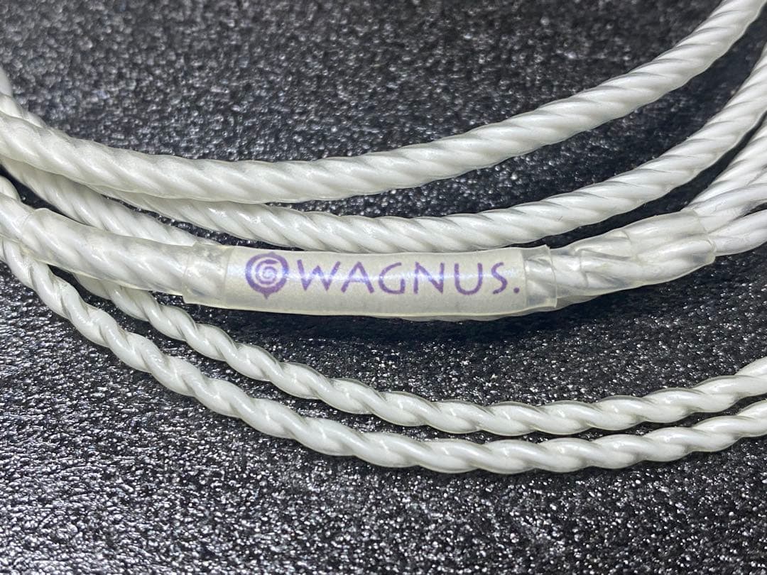 WAGNUS “Proton”カスタム2pin to 2.5mm 4極 バランス