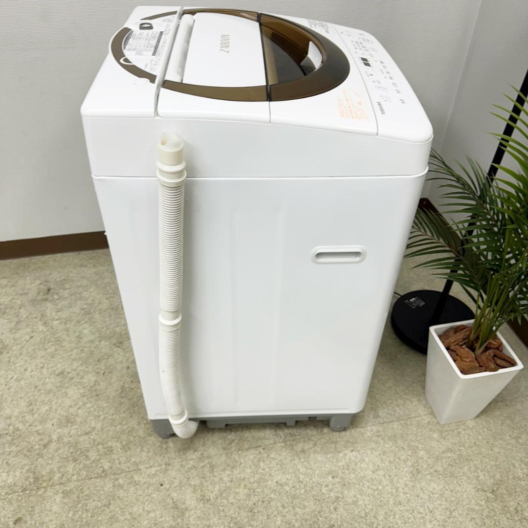 東芝 洗濯機 小型 一人暮らし 2019年製 1ヵ月保証付