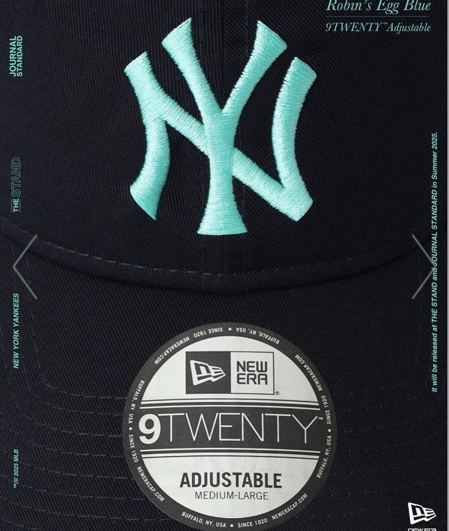 NEW ERA / ニューエラ 別注 NYY ロビンズ エッグ ブルー 920