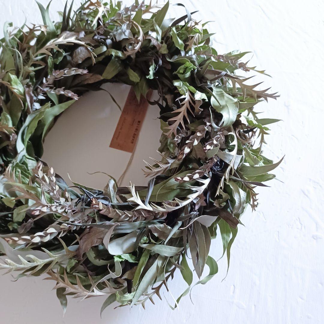 【魔女の棲む森 ～深碧萌～】ドライフラワー リース クリスマスリース