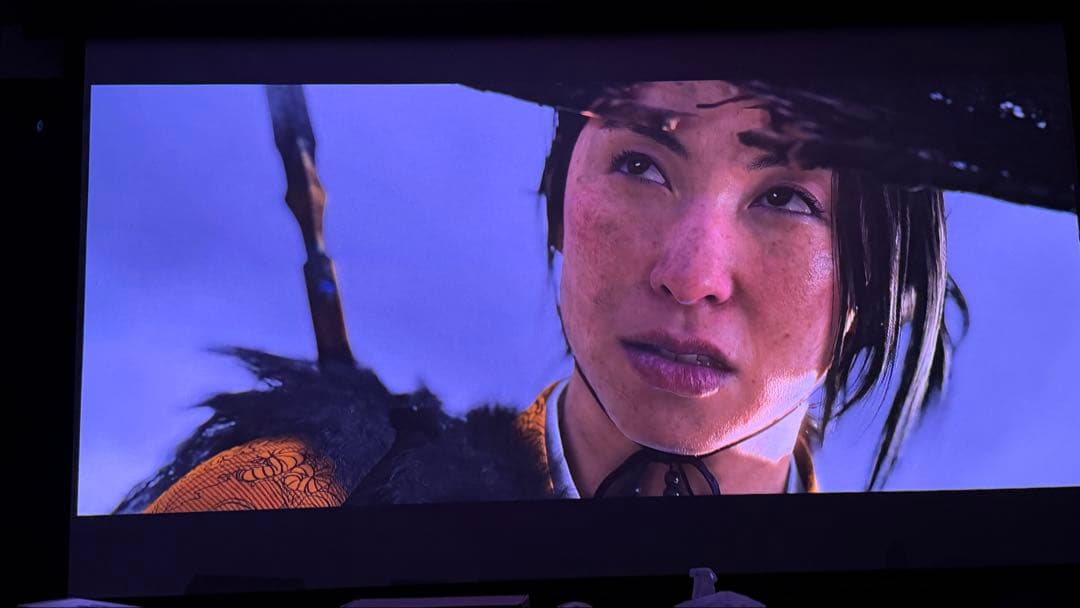 poji nega専用 REGZA RLC-V7R MAX プロジェクター本体