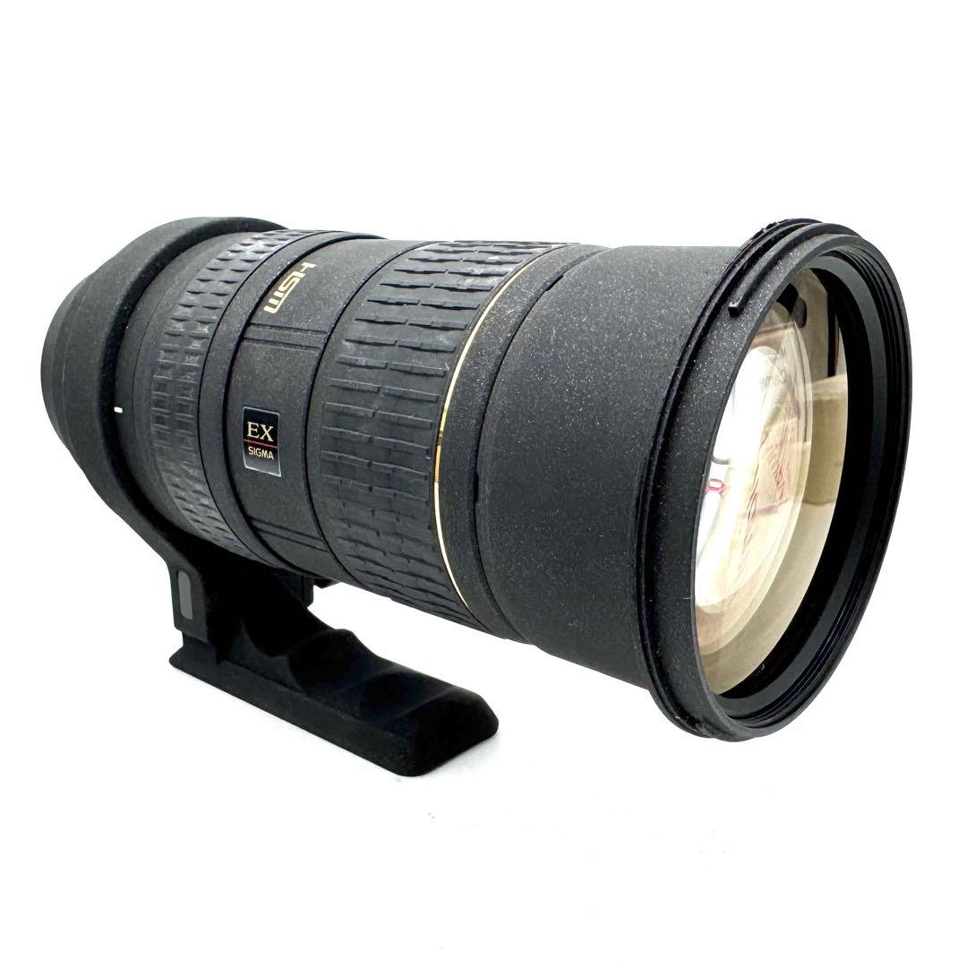 ❁大迫力！超望遠❁SIGMA 50-500mm EX APO HSM キャノン用