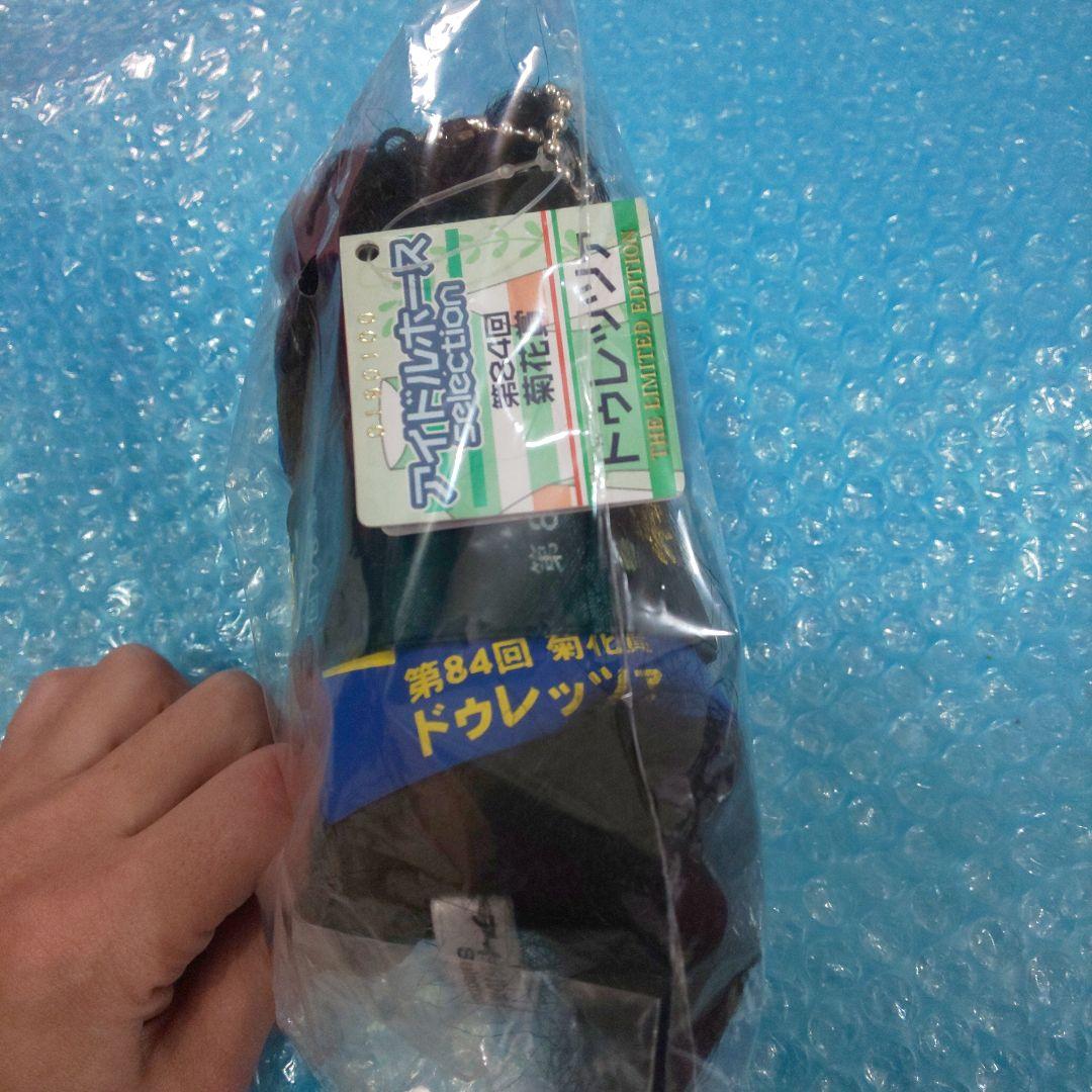 アイドルホース selection 第84回 菊花賞 ドゥレッツァ