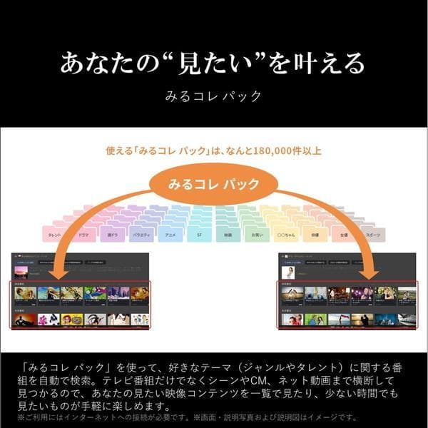 【agntty】2024年製 REGZA 4K液晶テレビ 65M550M