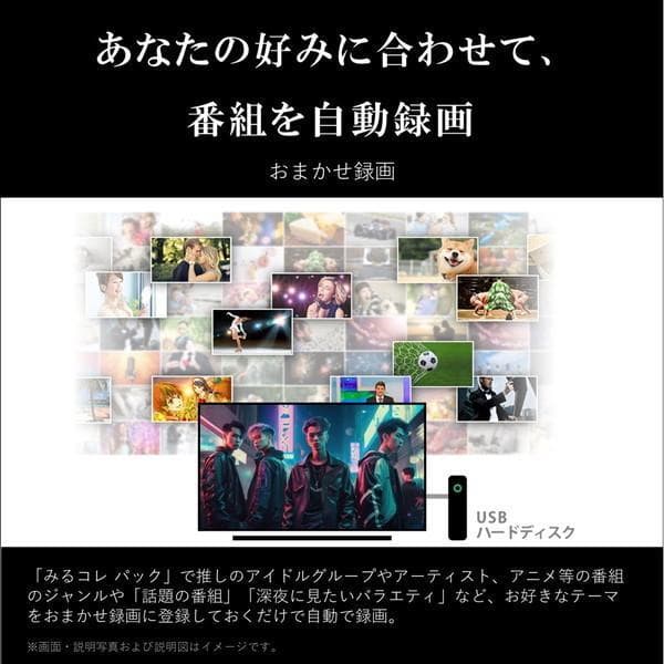 【agntty】2024年製 REGZA 4K液晶テレビ 65M550M