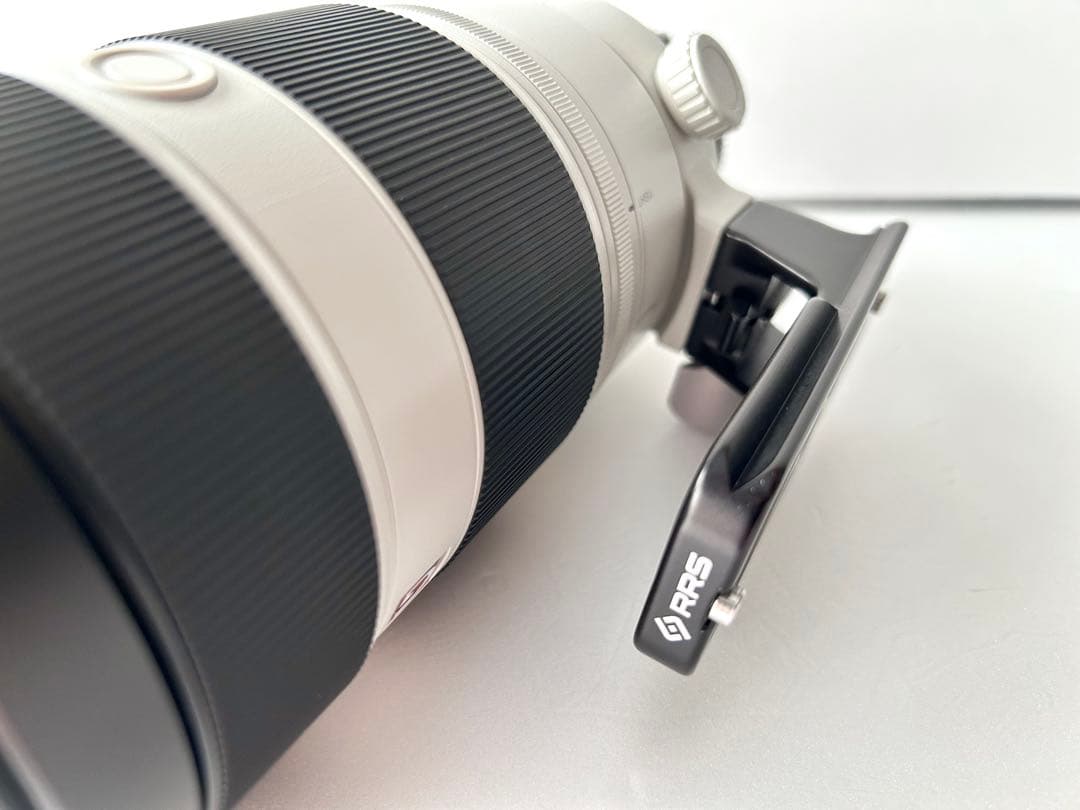 s*m様 SONY FE 100-400mm F4.5-5.6 GM OSS