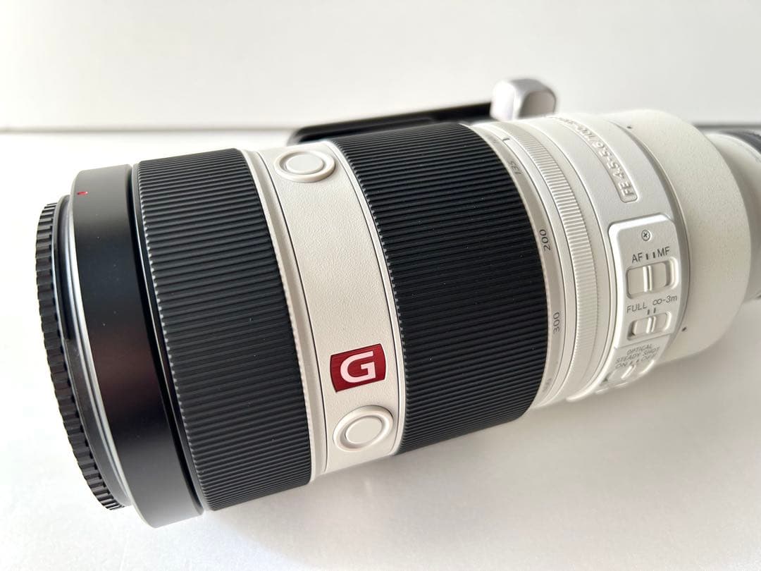 s*m様 SONY FE 100-400mm F4.5-5.6 GM OSS