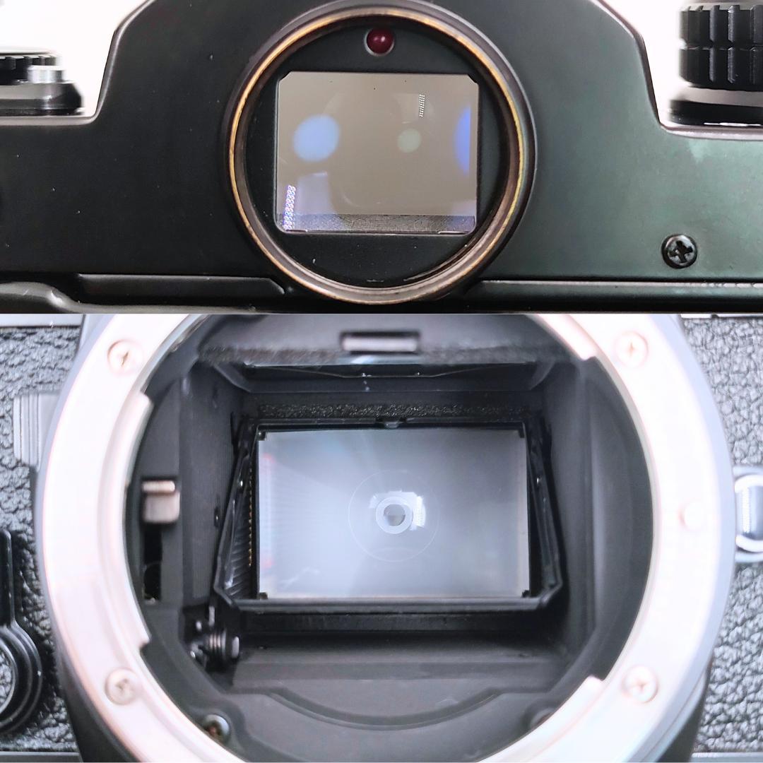 綺麗 Nikon FE / Ai NIKKOR 50mm F1.4