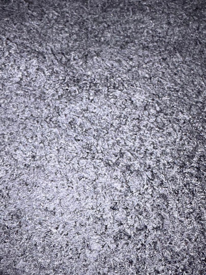 gelato pique WILDSIDEジェラートベアジャガードプルオーバー