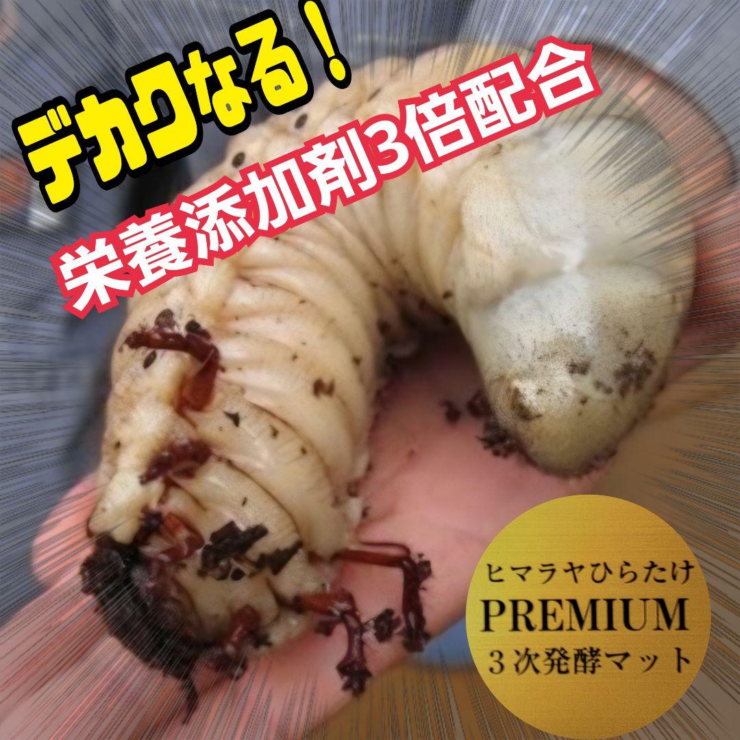 カブトムシ幼虫が巨大化！プレミアム3次発酵カブトムシマット【50L】産卵にも抜群