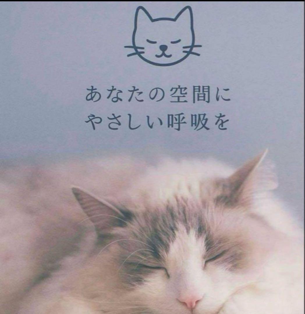 ⚫︎ダイキン⚫︎【2026年モデル】ACM556A-W