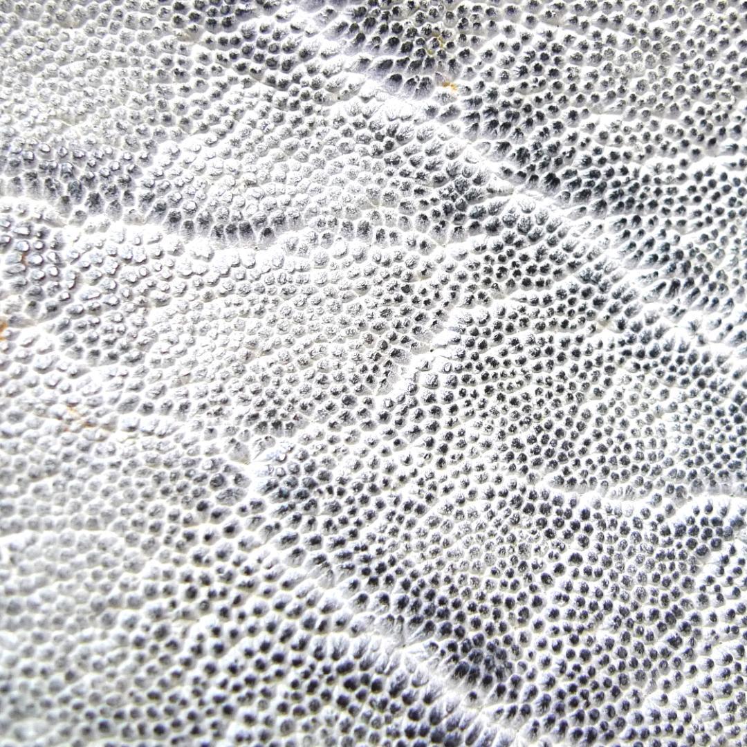 Eagle　ハンドバッグ　ダレス型　象革　エレファント　JRAタグ　小銭入れ