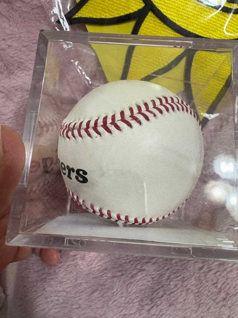 タイガース公式グッズセット