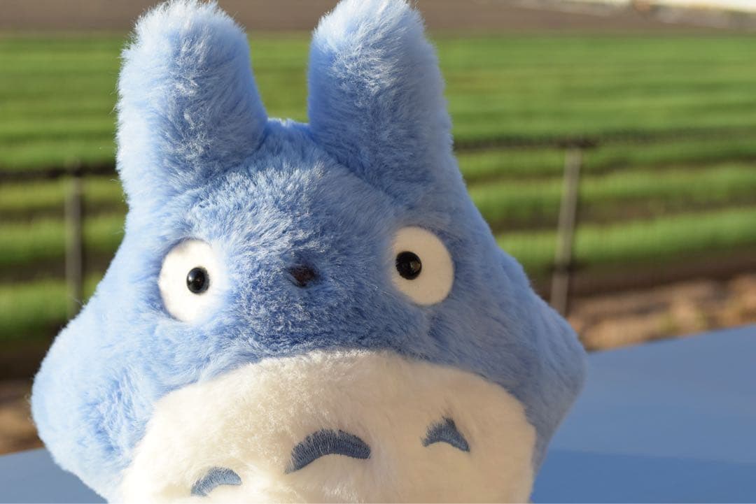 【Wi-Fi搭載】美品 Nikon D5300 標準レンズセット 初心者人気