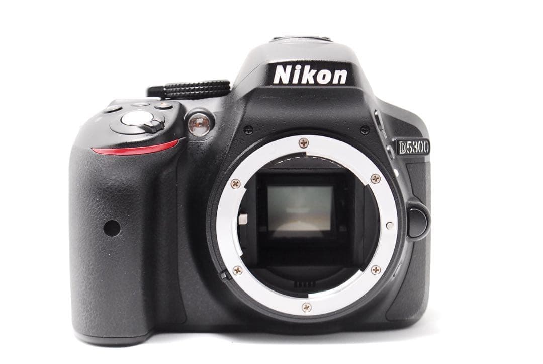 【Wi-Fi搭載】美品 Nikon D5300 標準レンズセット 初心者人気