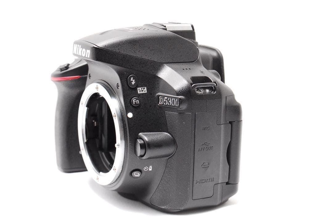 【Wi-Fi搭載】美品 Nikon D5300 標準レンズセット 初心者人気