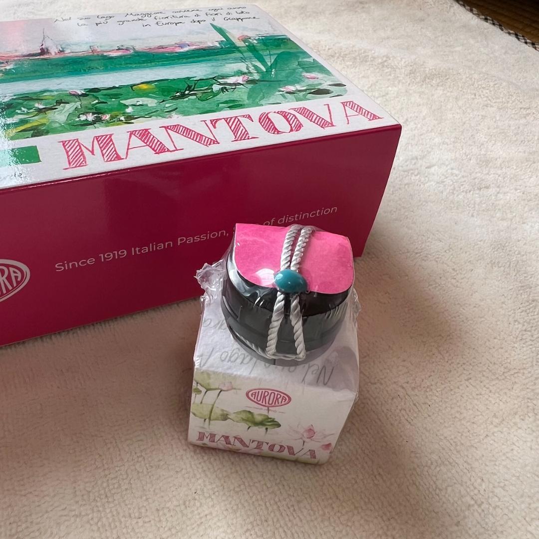 【新品未使用】アウロラ AURORA 万年筆 マントヴァ 字幅F