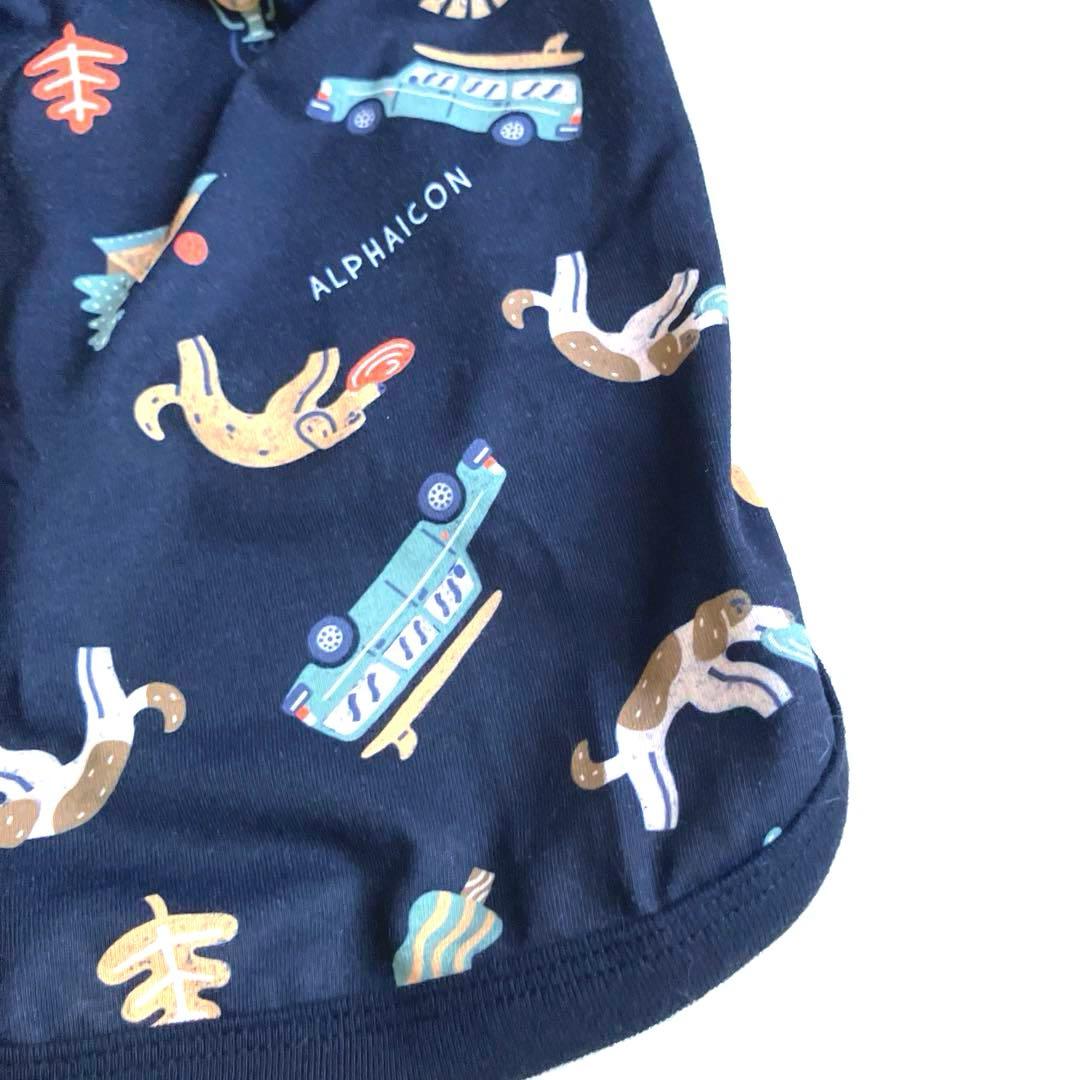 アルファアイコン　ALPHAICON ドライニットティ　コラボ限定品　ML